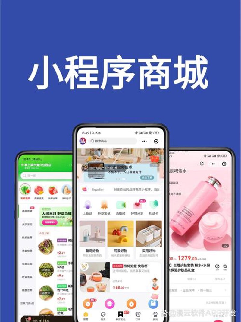 小程序开发：移动互联网时代的轻盈翅膀